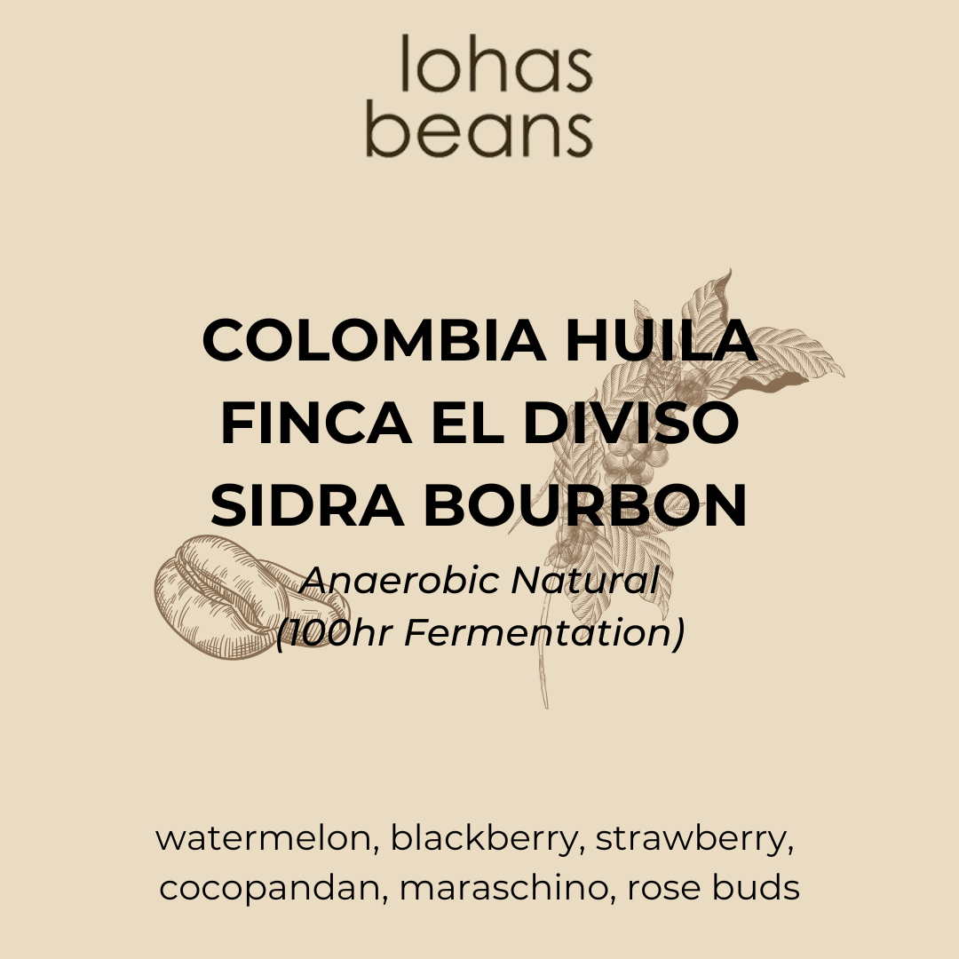 Colombia Huila Finca El Diviso Sidra